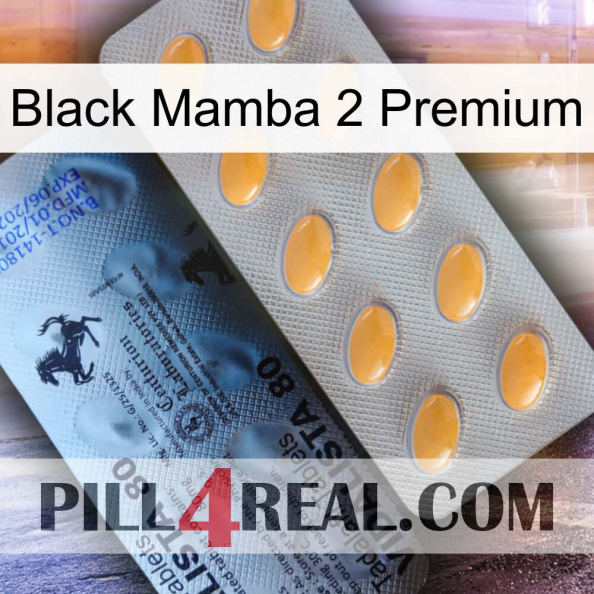 Black Mamba 2 Premium 44.jpg